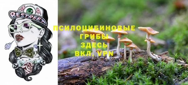 синтетический гашиш Богданович