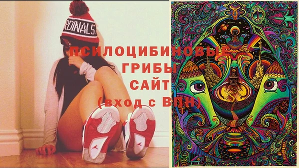 мяу мяу мука Богородск