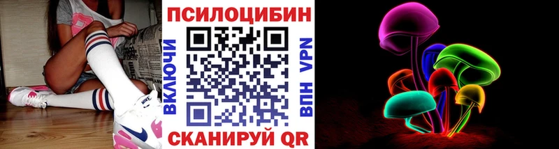 Купить закладки  Неман  Псилоцибиновые грибы мицелий 